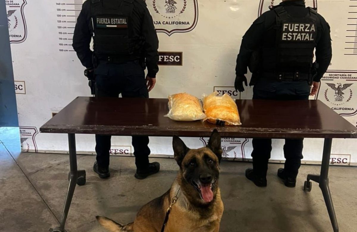 Gracias a denuncia anónima, FESC incauta metanfetamina en la colonia Buenavista en Tijuana
