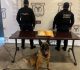 Gracias a denuncia anónima, FESC incauta metanfetamina en la colonia Buenavista en Tijuana