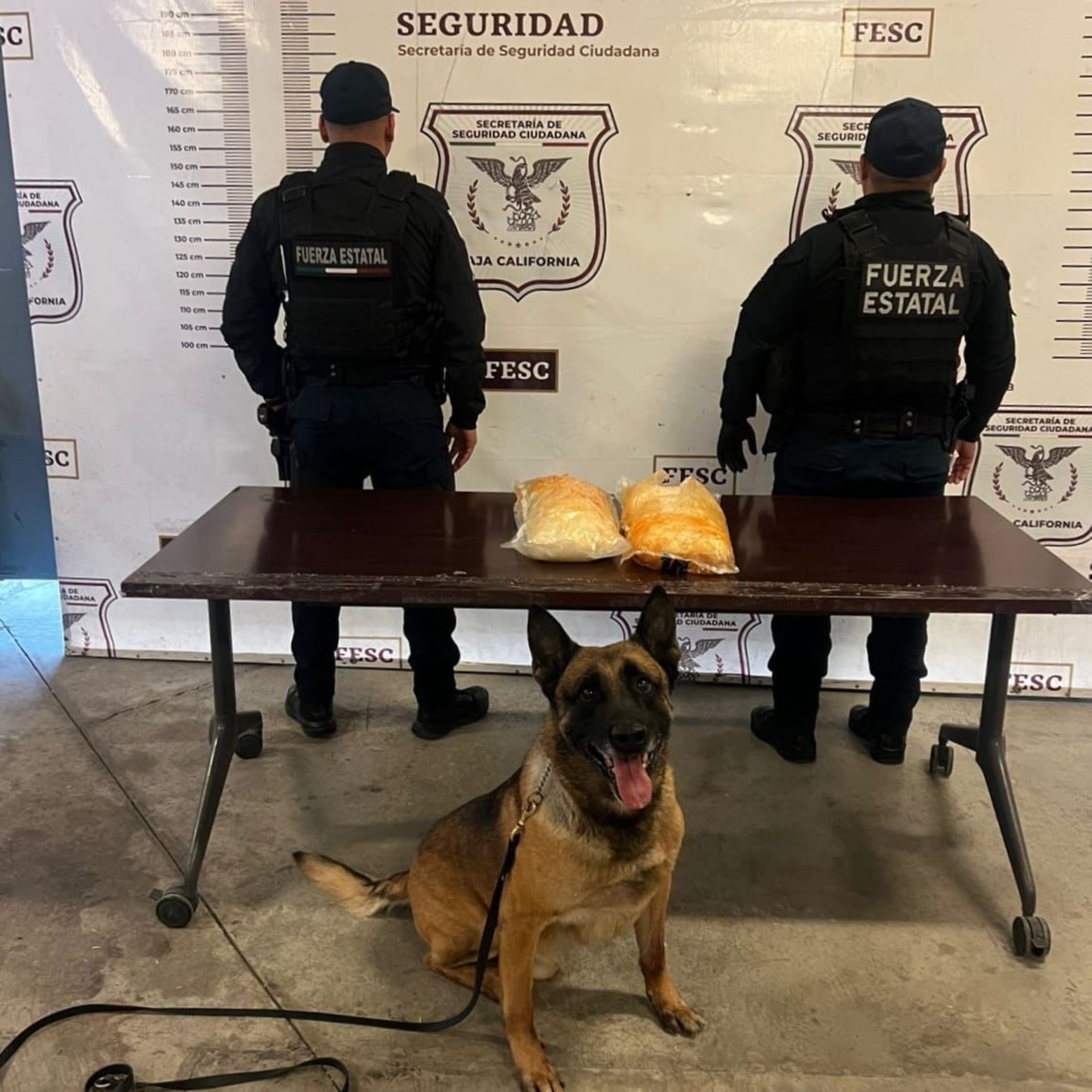 Gracias a denuncia anónima, FESC incauta metanfetamina en la colonia Buenavista en Tijuana