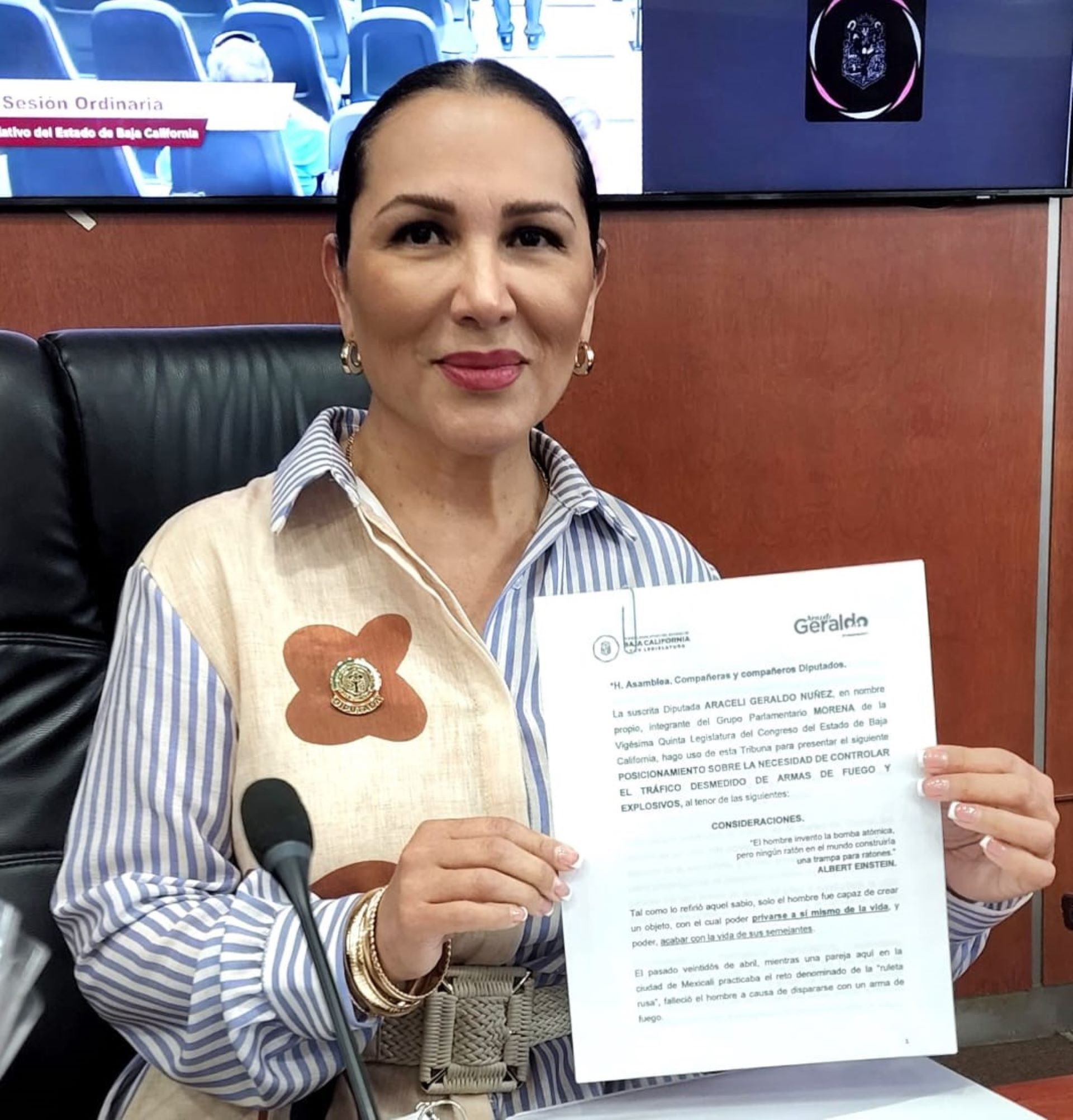Necesario controlar tráfico desmedido de armas de fuego: diputada Araceli Geraldo