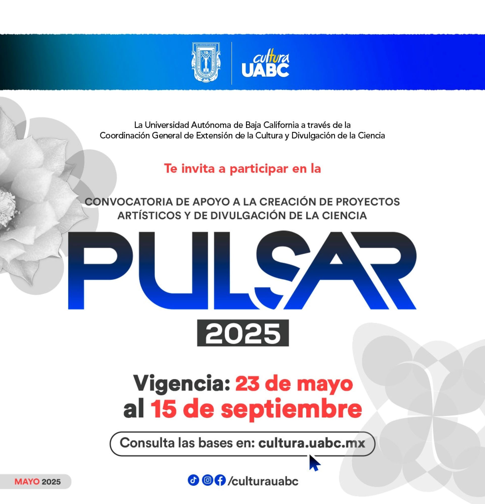 UABC abre convocatoria para financiar iniciativas estudiantiles de arte y divulgación científica