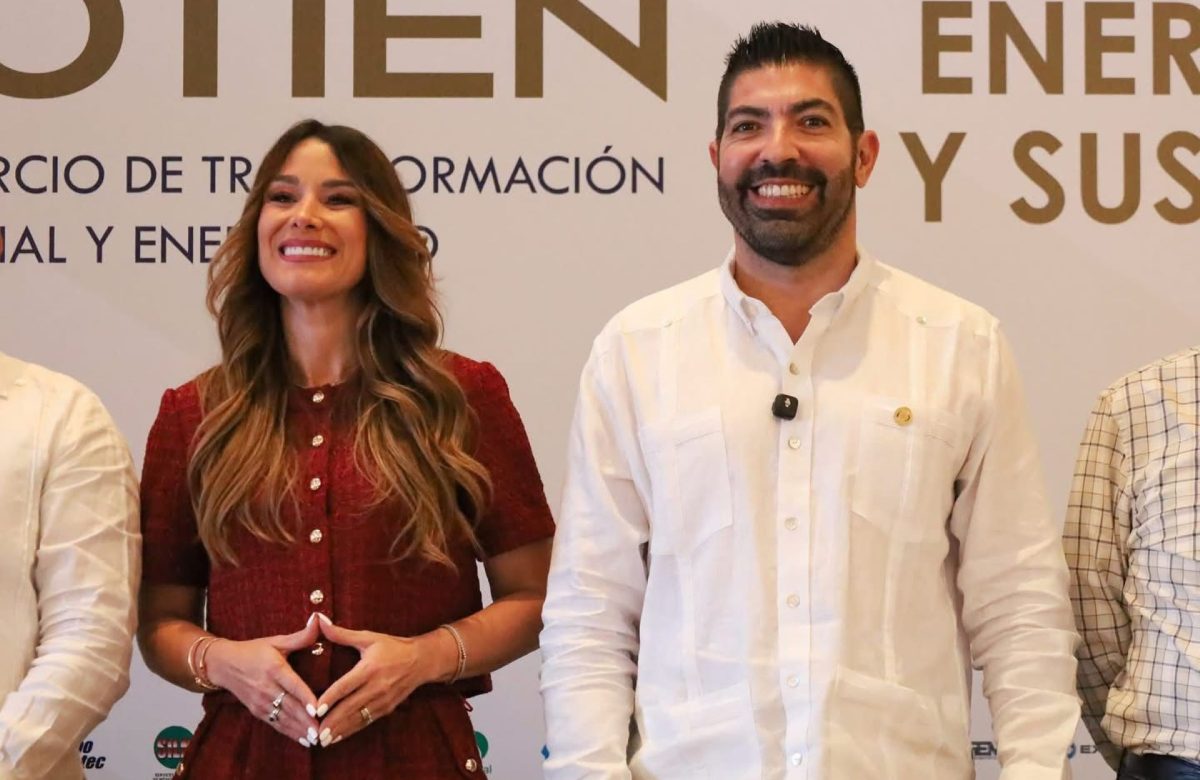 Presenta Armando Ayala punto de acuerdo para fortalecer la justicia energética