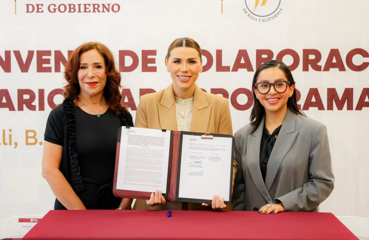 Acerca gobernadora Marina del Pilar servicios notariales con descuentos a quienes más lo necesita