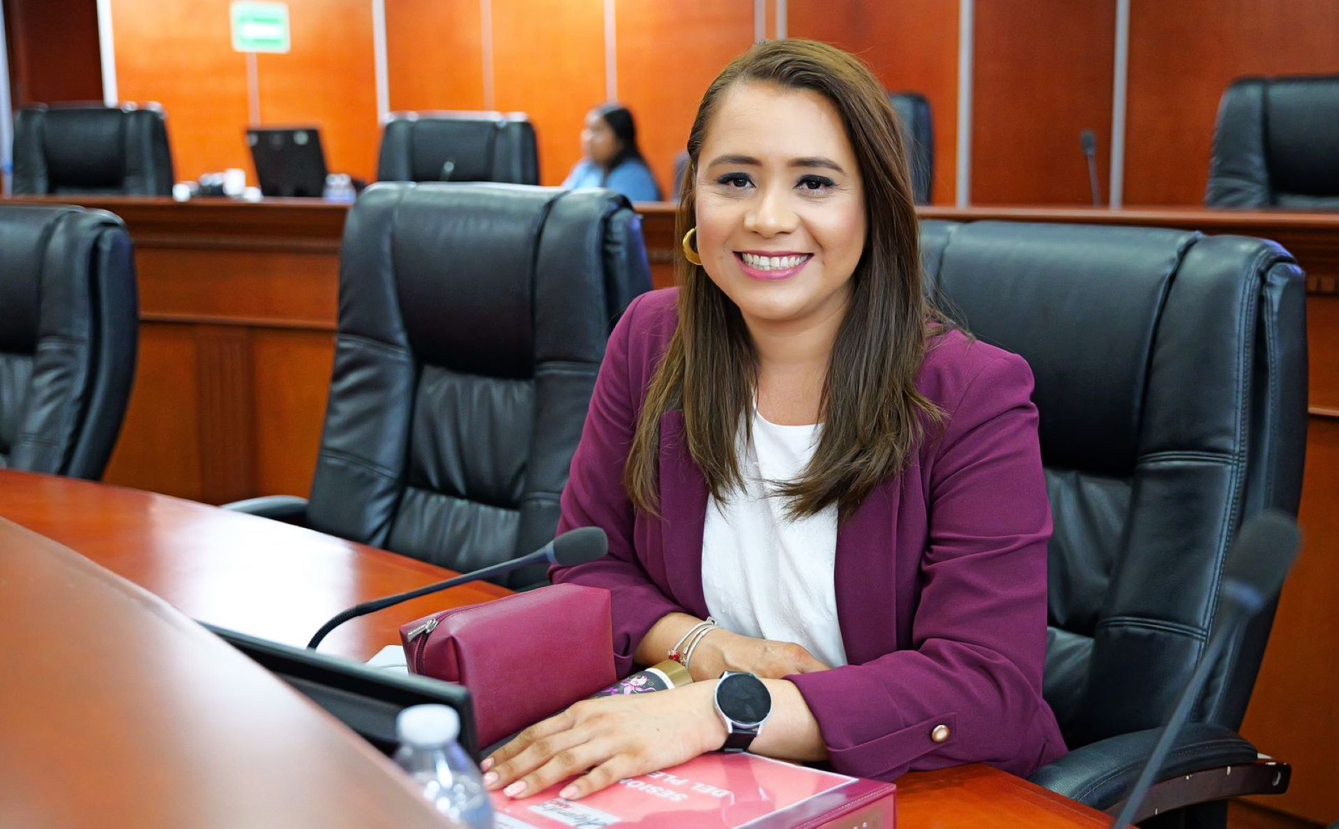 Aprueba el pleno del Congreso de BC iniciativa de la Dip. Alejandra Ang para fortalecer la auditoría forense en el Estado