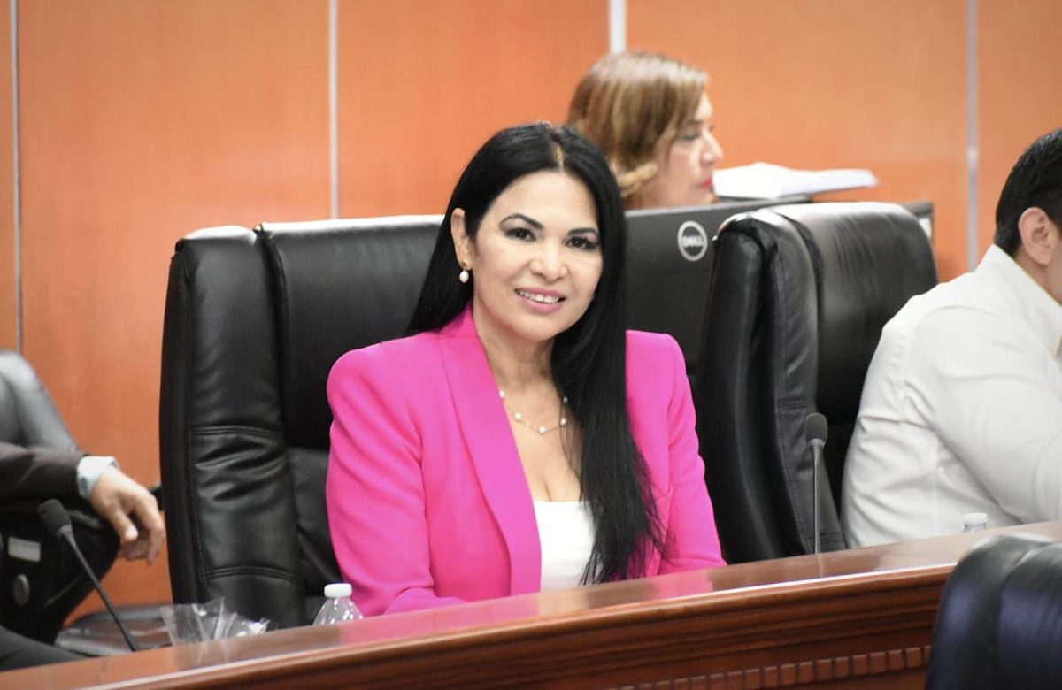 Proponen sanciones por contaminación en predios baldíos propiedad del gobierno estatal y municipal: Dip. Alejandrina Corral