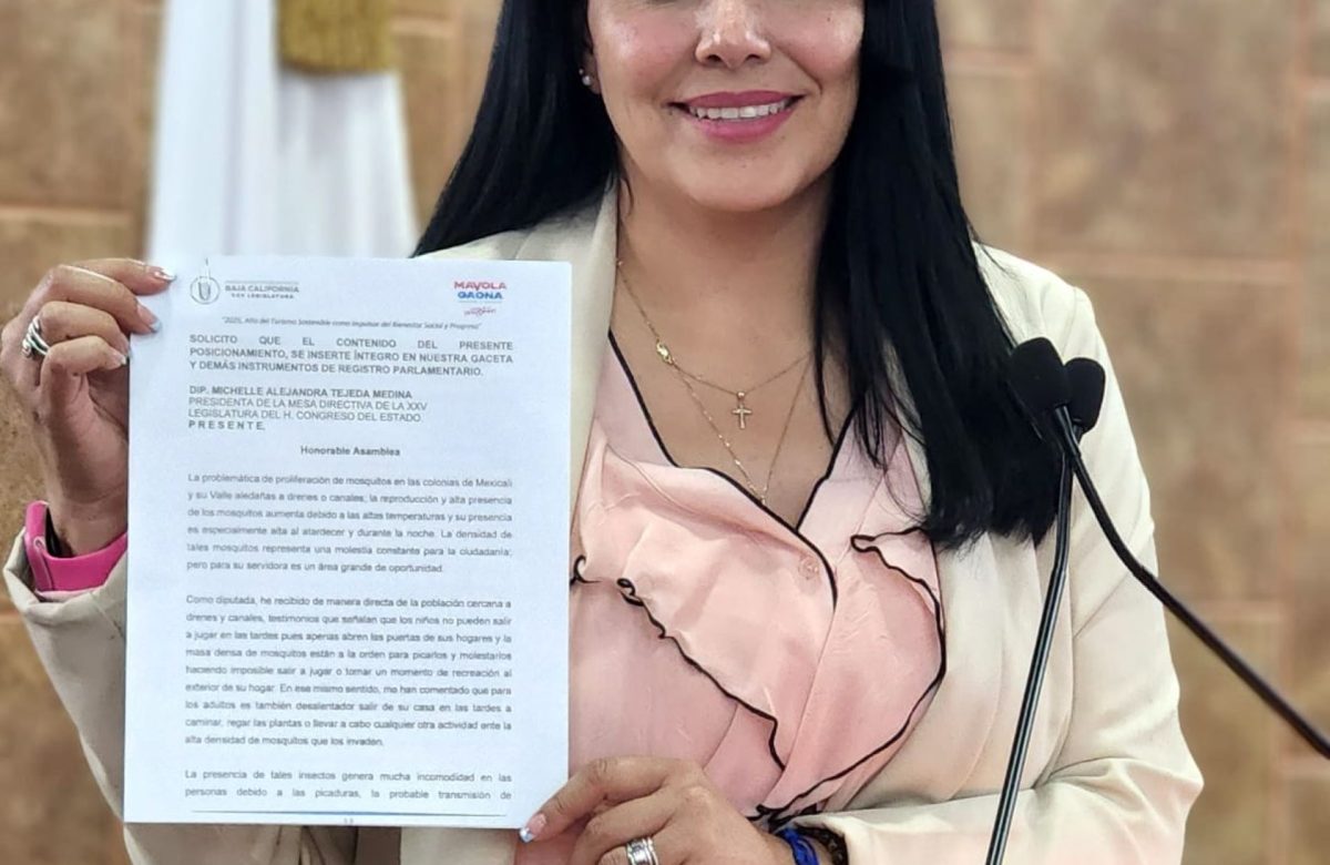 Plantean establecer la participación ciudadana y gobernanza en la planeación del desarrollo estatal