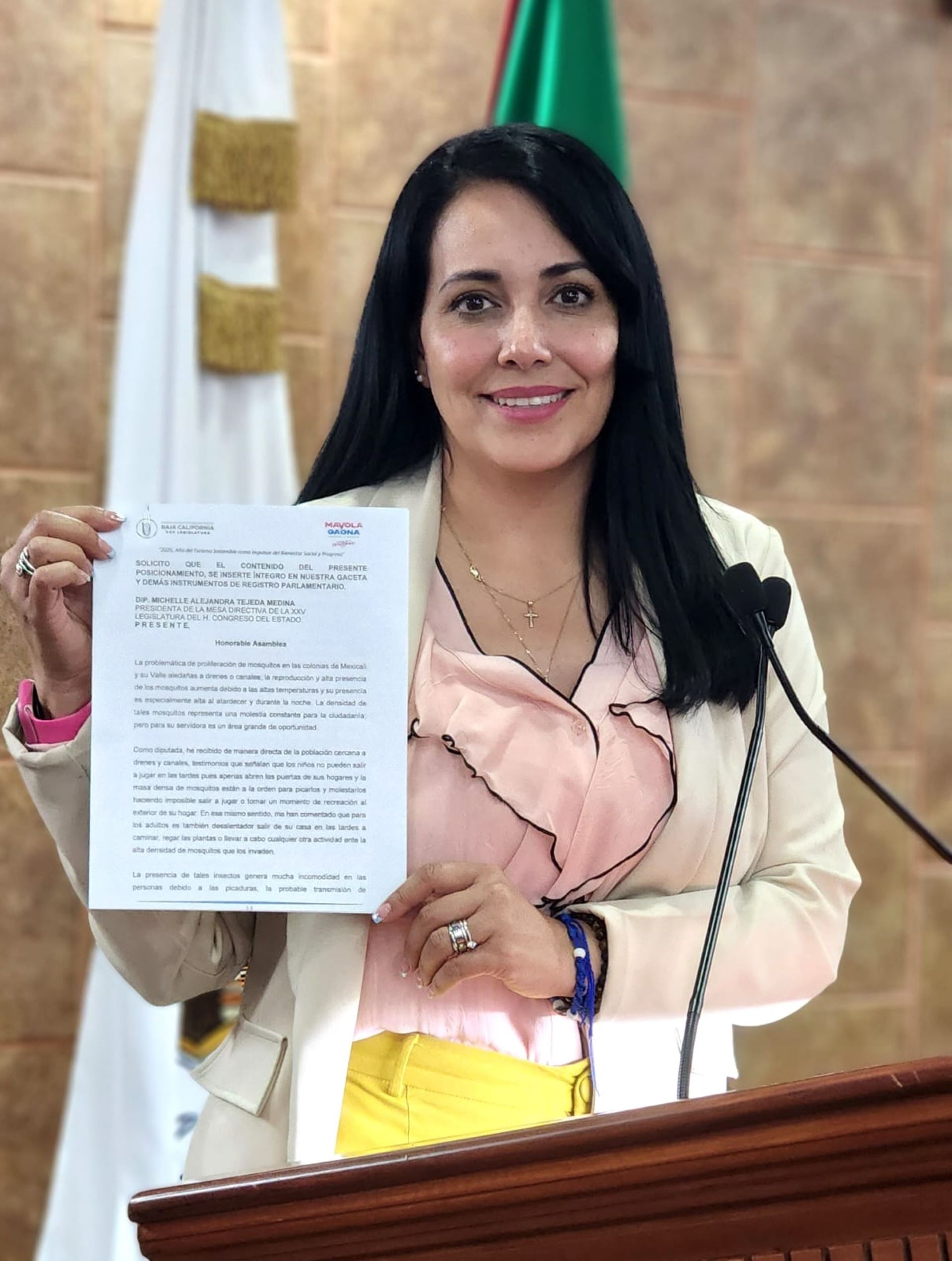 Plantean establecer la participación ciudadana y gobernanza en la planeación del desarrollo estatal