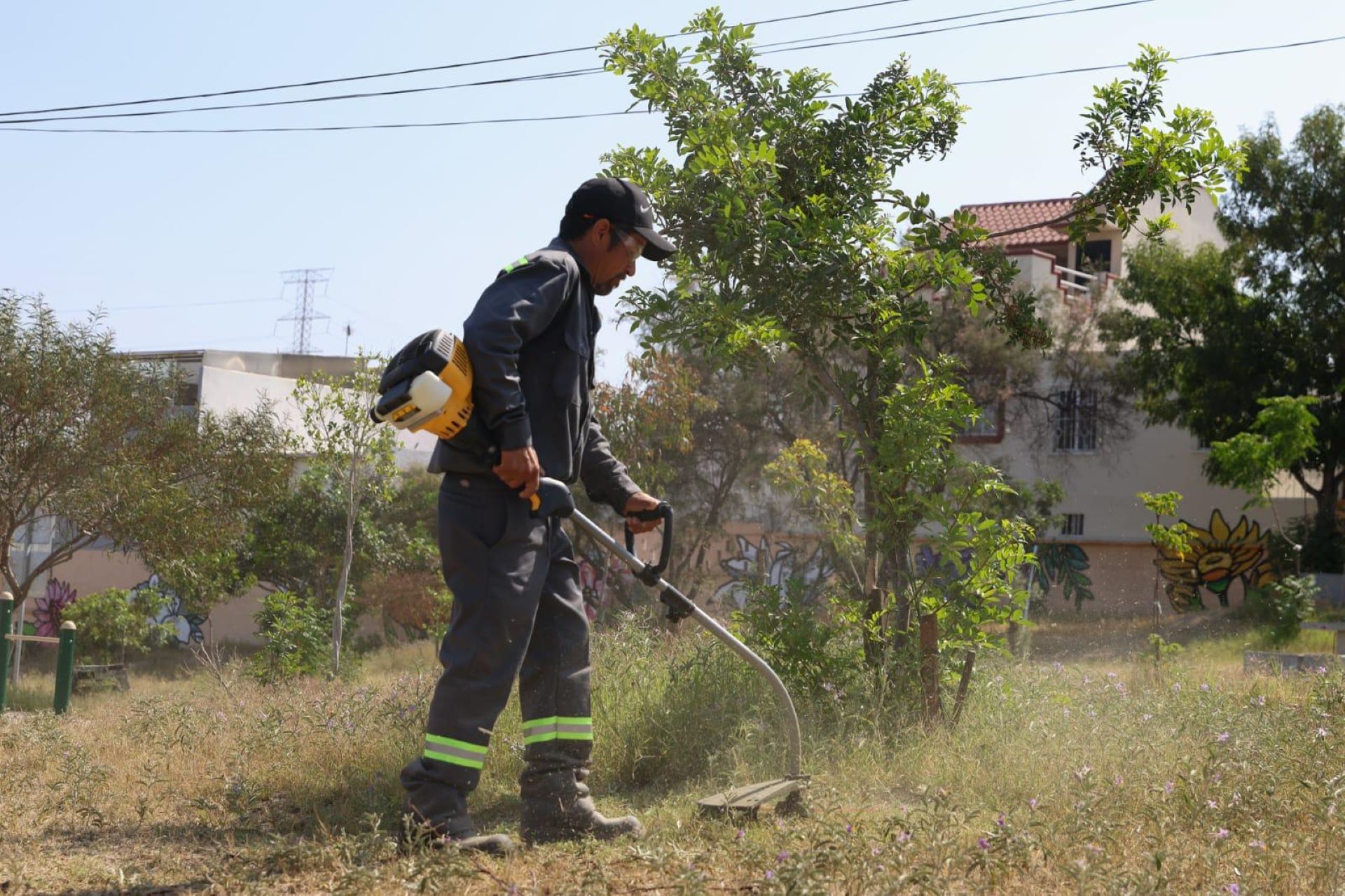 Impulsa Gobierno Municipal con ‘Tijuana: Ciudad Limpia´ el mantenimiento de parques públicos, conservación de áreas verdes y pavimentación
