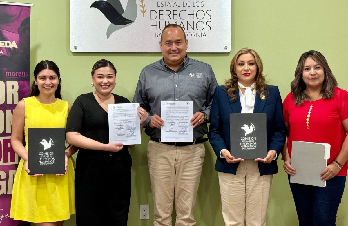 Diputada Michelle Tejeda impulsa alianza con CEDH para capacitar al Congreso en inclusión y derechos humanos de personas con discapacidad