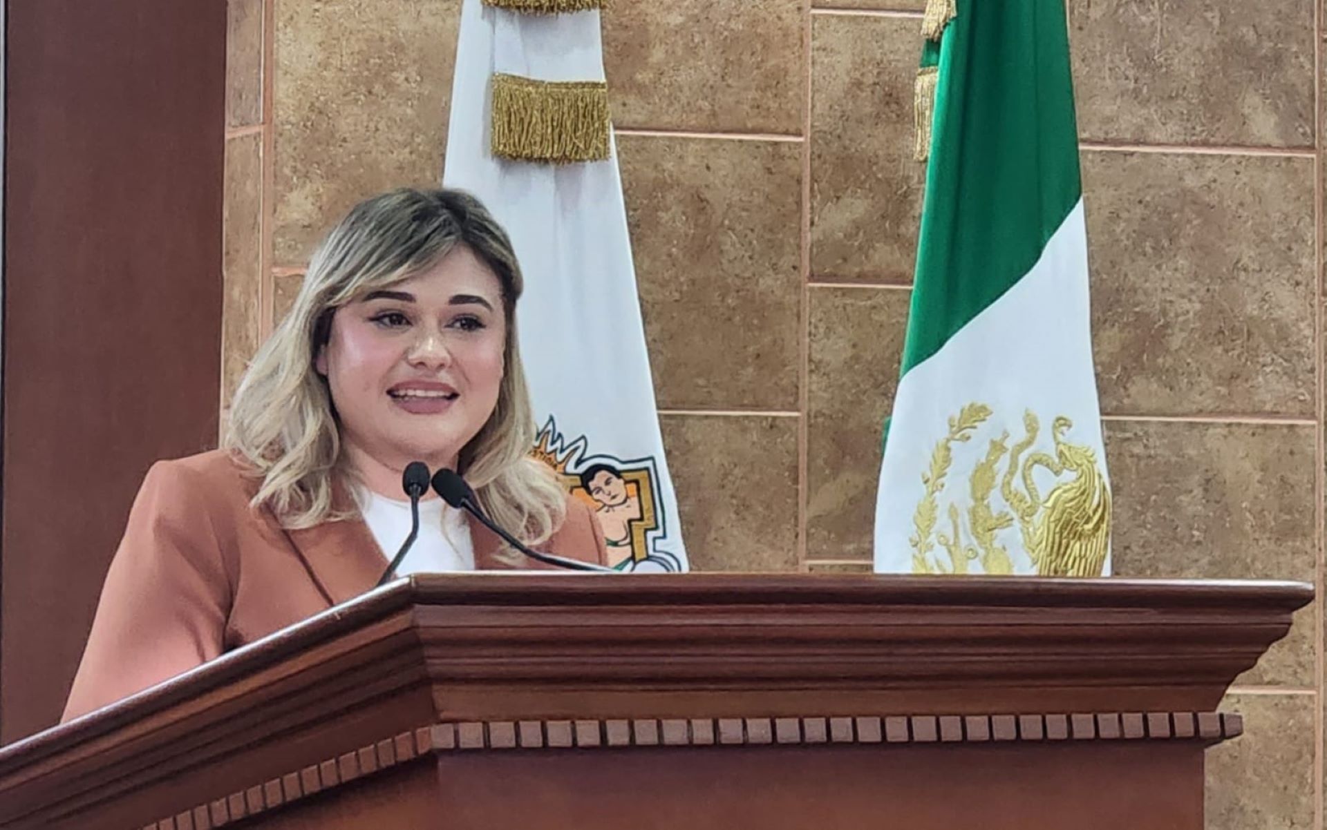 Dip. Michelle Tejeda busca integrar a los pueblos indígenas y afromexicanos como sujetos de Bienestar Social