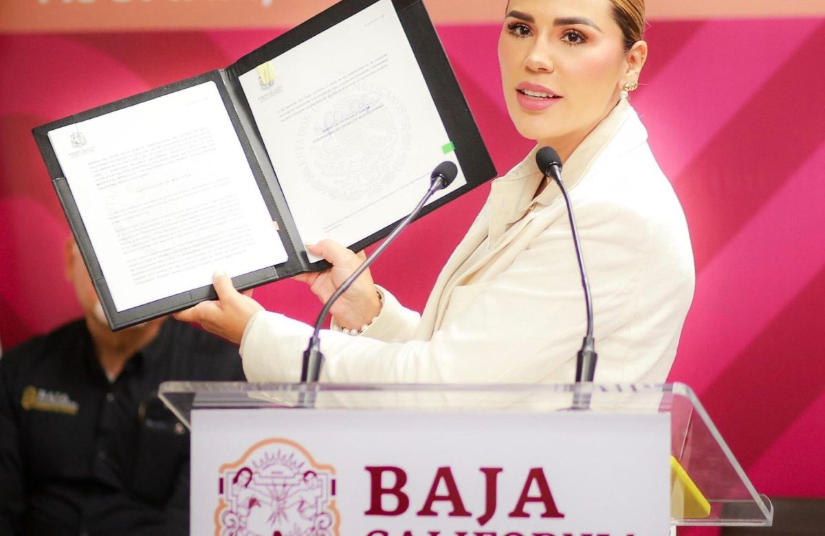 Firma gobernadora Marina del Pilar iniciativa contra el “halconeo” y el uso delictivo de cámaras