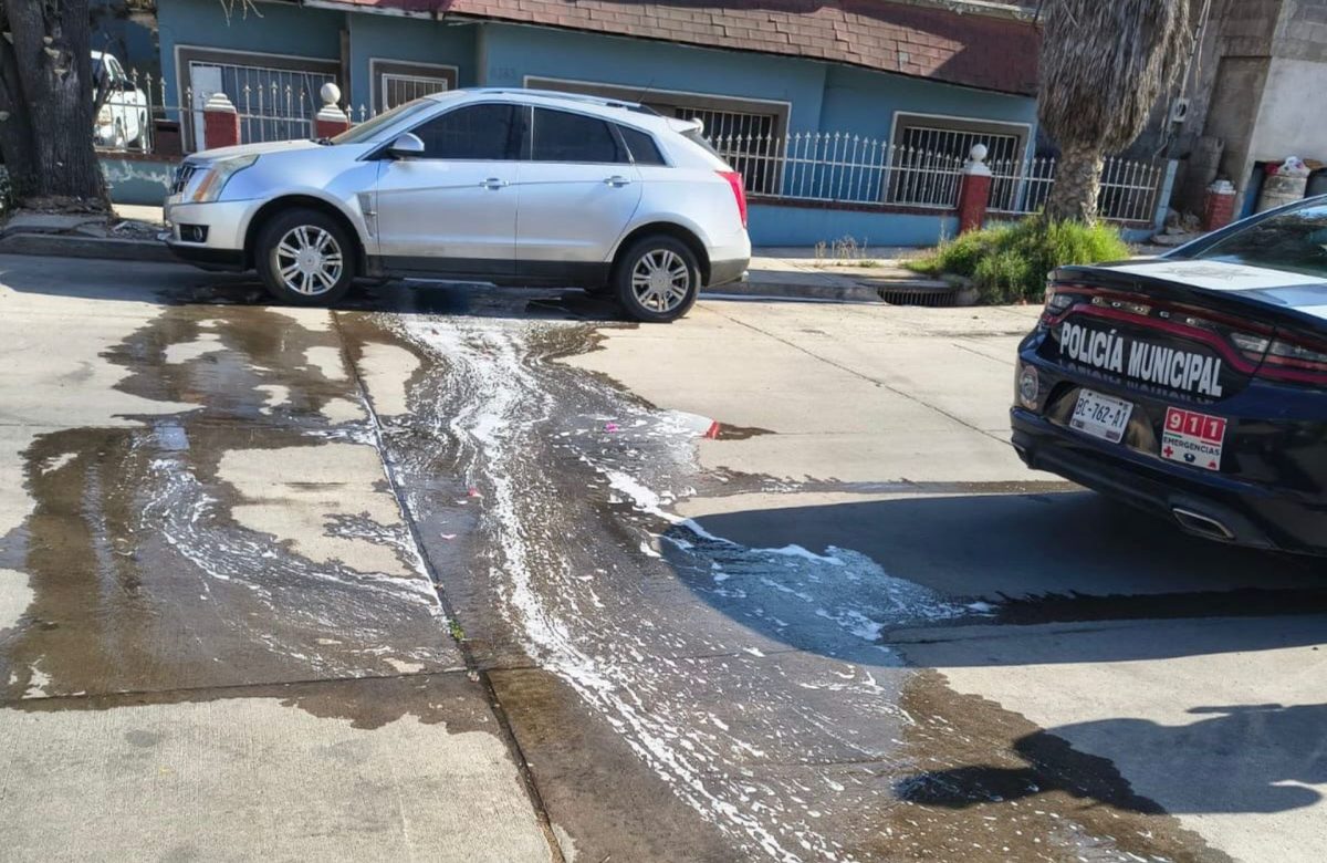 Cero tolerancia: Gobierno de Ensenada lanza campaña contra conductas que afectan el medio ambiente y la tranquilidad ciudadana