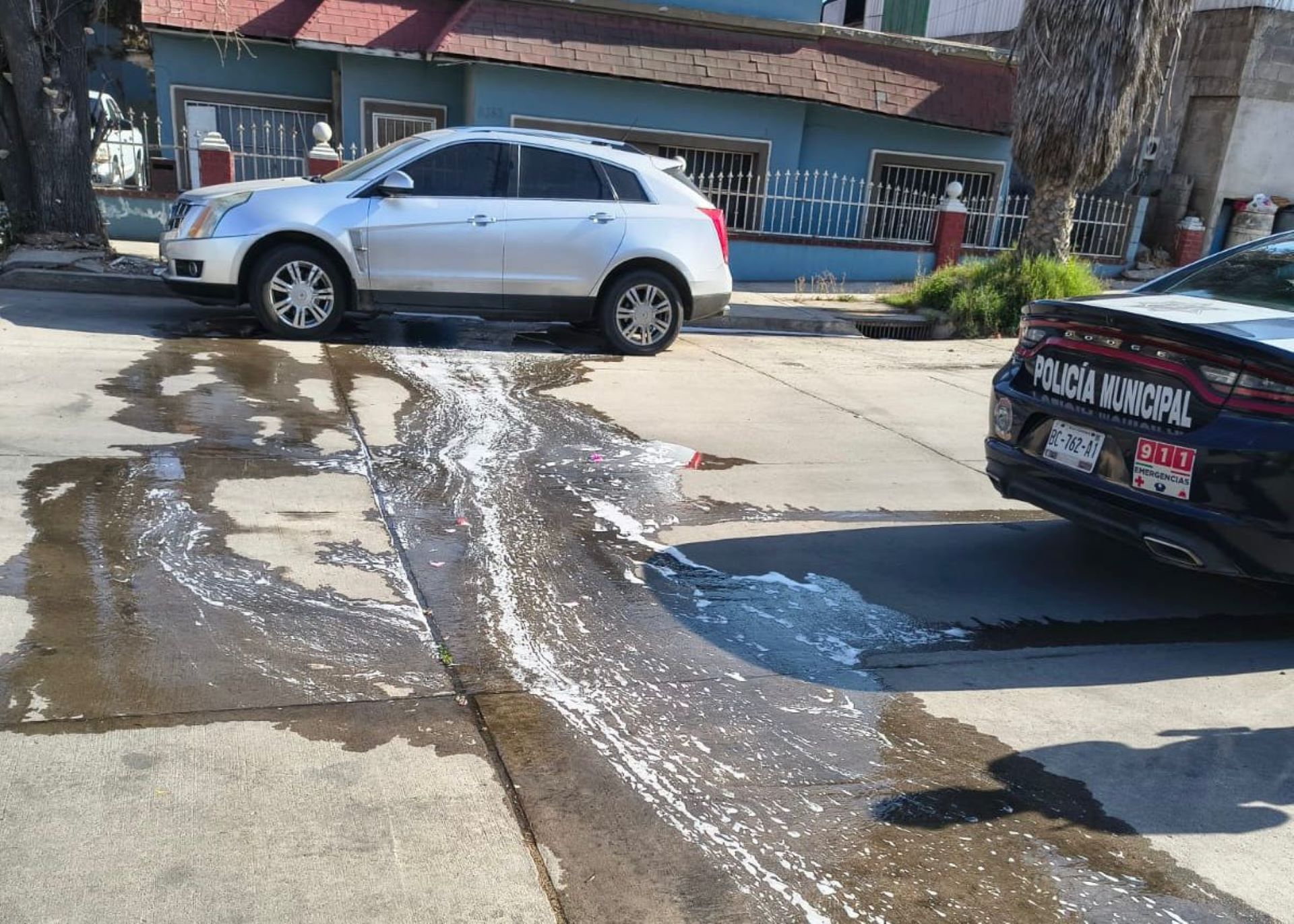 Cero tolerancia: Gobierno de Ensenada lanza campaña contra conductas que afectan el medio ambiente y la tranquilidad ciudadana
