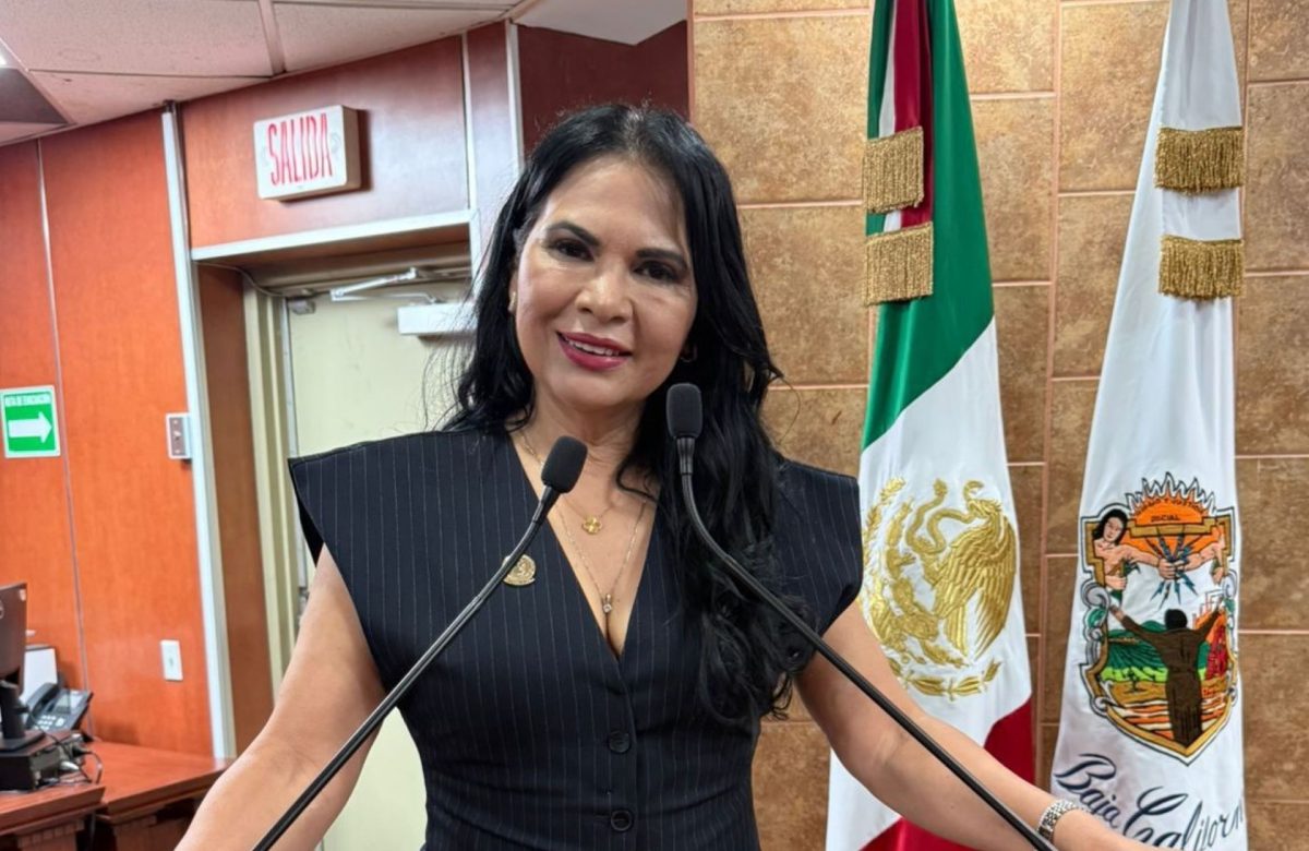 Diputada Alejandrina Corral propone sancionar a quien rinda información pública falsa