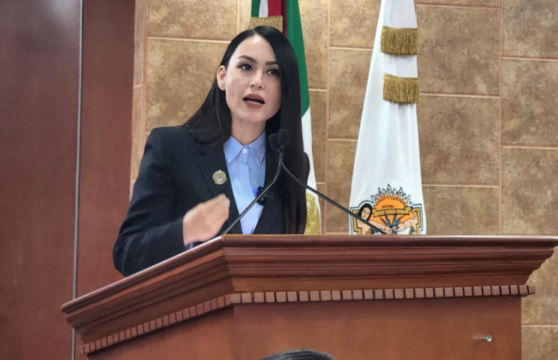 Exhorta diputada Yohana Gilvaja a reforzar la seguridad en centros comerciales de BC