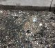 CESPM llama a la ciudadanía a evitar tirar basura en las calles para proteger el sistema de alcantarillado