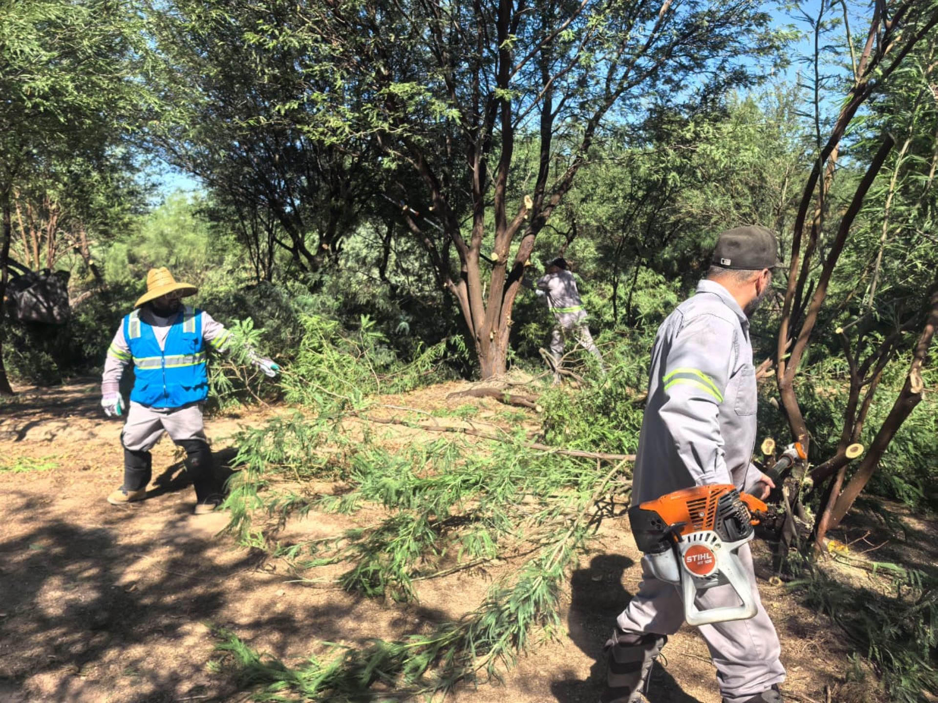 CESPM realiza jornada de poda en el área forestada de la planta de tratamiento Las Arenitas