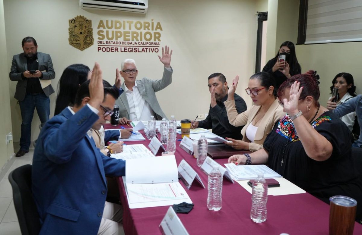 Comisión de Seguridad aprueba proyectos en materia de vigilancia, armamento y delitos digitales