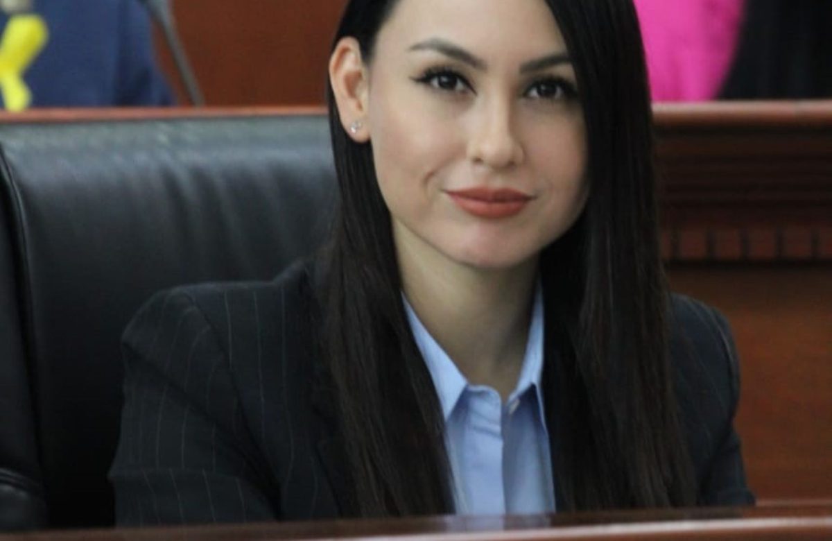 Aprueban en comisión iniciativa de creación de policía cibernética impulsada por la Dip. Yohana Gilvaja