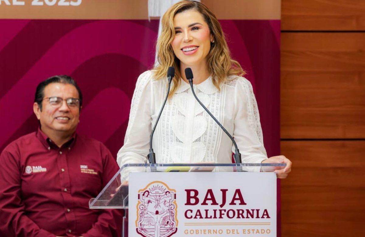 Gobierno de Marina del Pilar impulsa una red de atención en salud mental para las familias de Baja California