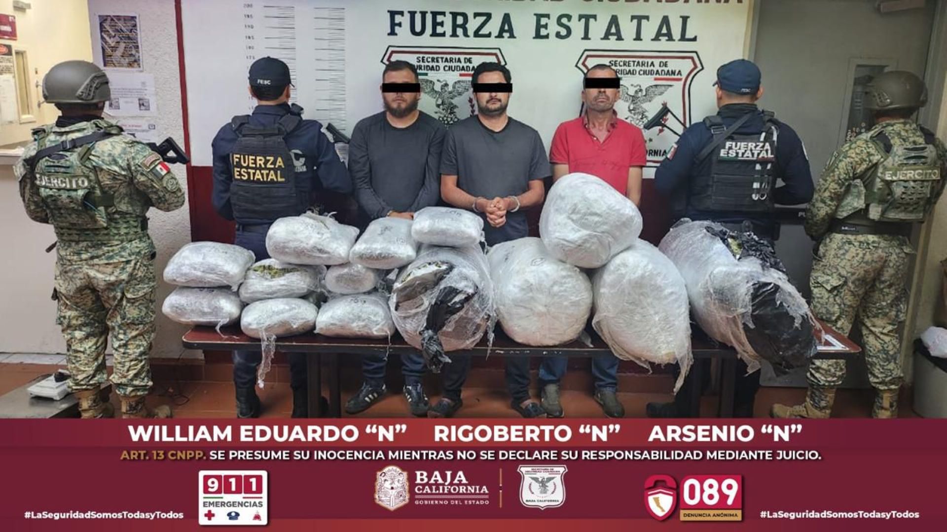 Decomisa Fuerza Estatal medio centenar de kilos de marihuana en Tecate; Hay tres detenidos