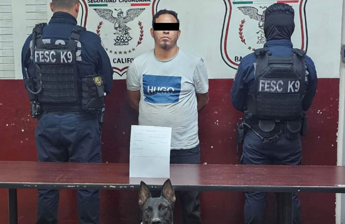 Aprehende Fuerza Estatal a hombre buscado por homicidio calificado en BC
