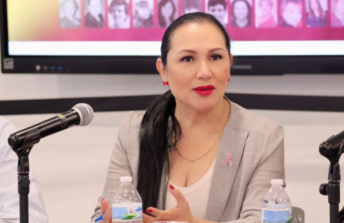 Propone diputada Araceli Geraldo modernizar mecanismos de participación ciudadana