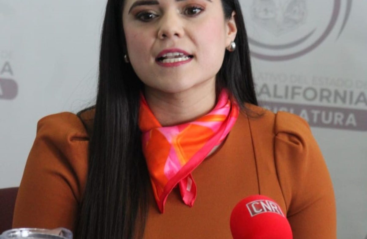 Daylín García Ruvalcaba impulsa reforma para la inclusión laboral de personas con autismo en BC