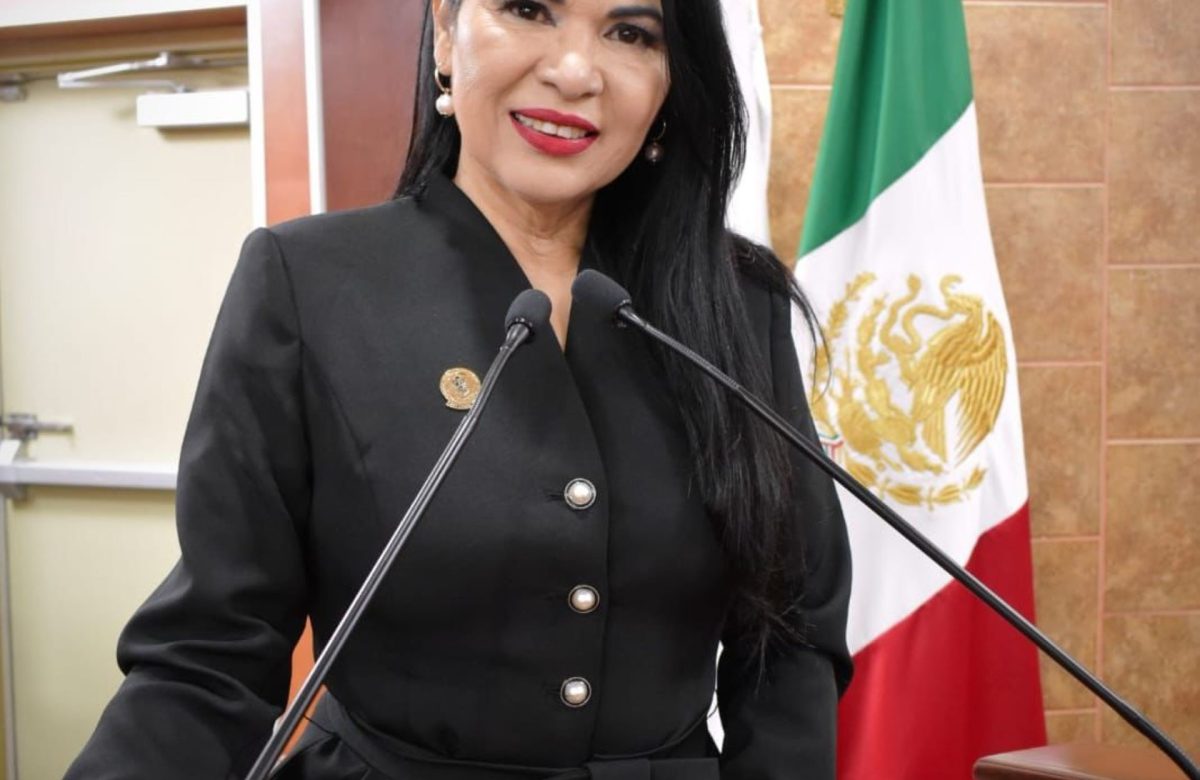 Propone diputada Alejandrina Corral fortalecer protección jurídica de niñas, niños y adolescentes