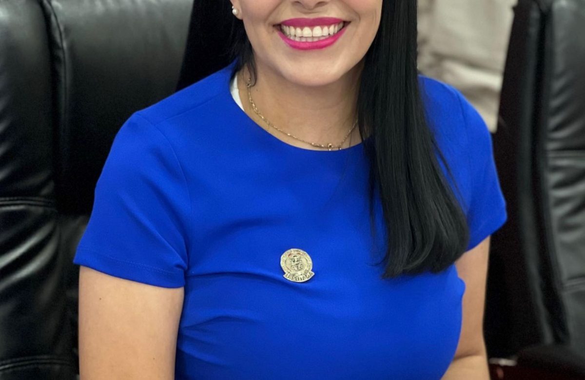 Plantean incorporar el C5 como unidad administrativa dependiente de la secretaría de seguridad ciudadana