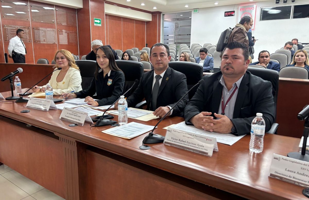 Pronostica San Felipe ingresos de 230 MDP para el próximo año 2026