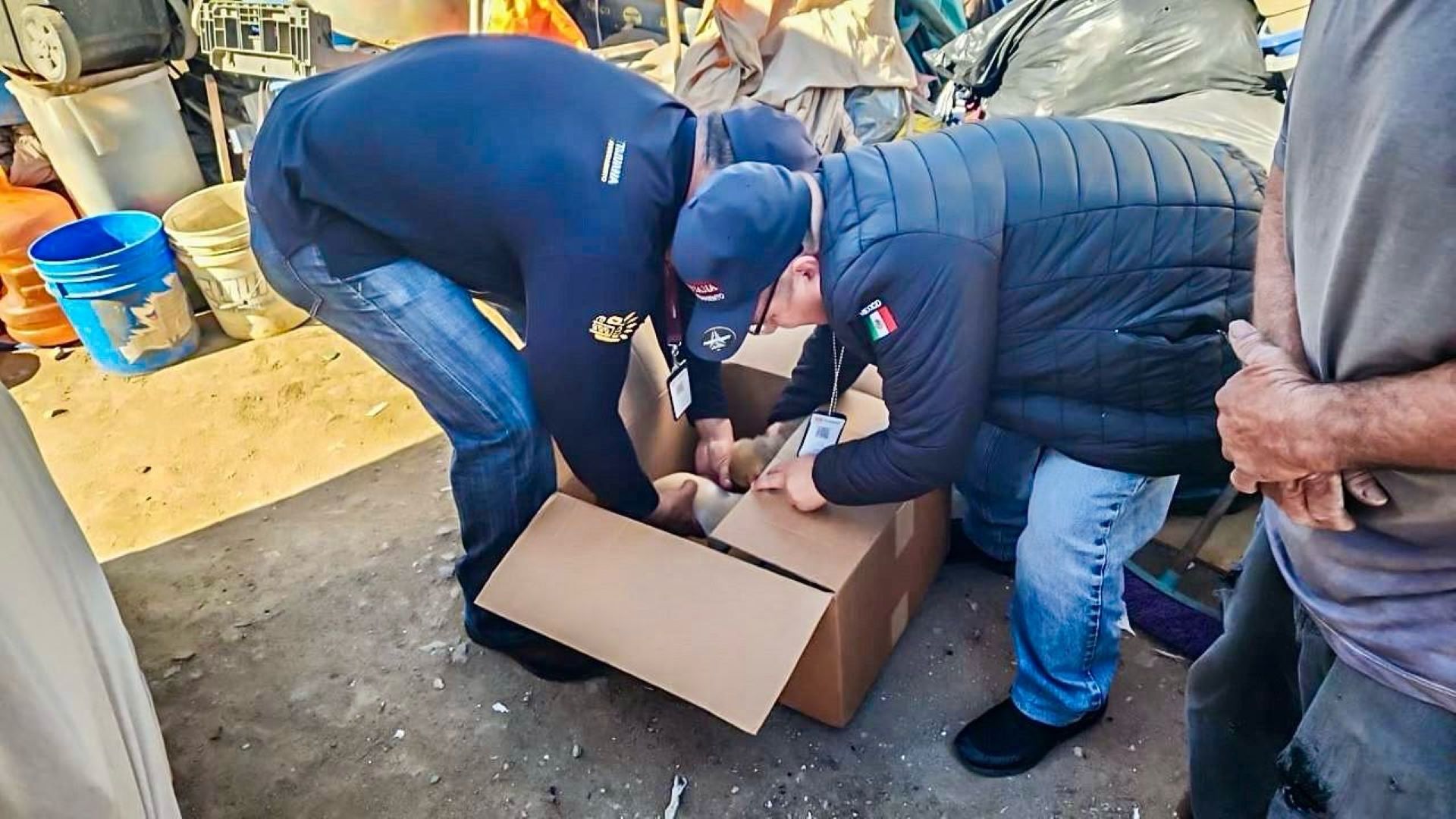 Rescata Gobierno Municipal de Tijuana a cuatro cachorros víctimas de venta ilegal