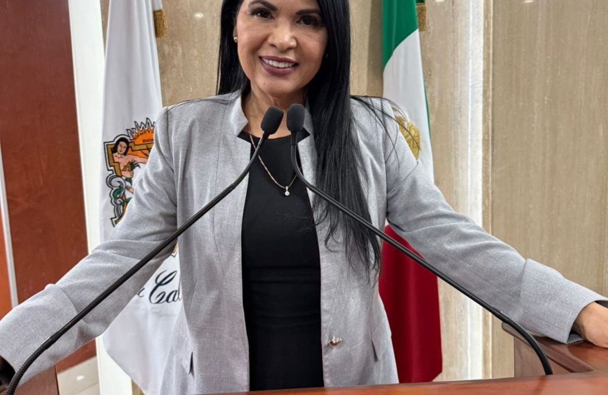 Propone diputada Alejandrina Corral fortalecer la transparencia sobre modificaciones al presupuesto