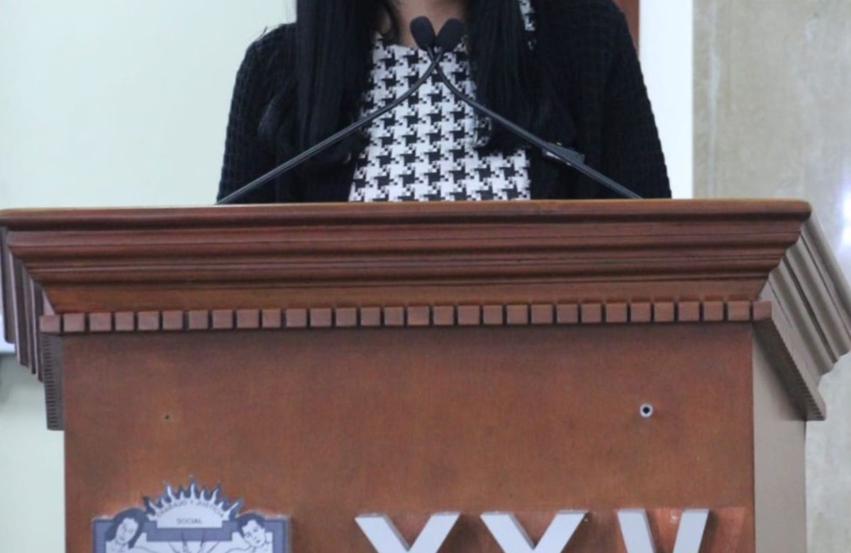 Crisis de rentabilidad del algodón empuja a productores a dejar de sembrar: Dip. Mayola Gaona