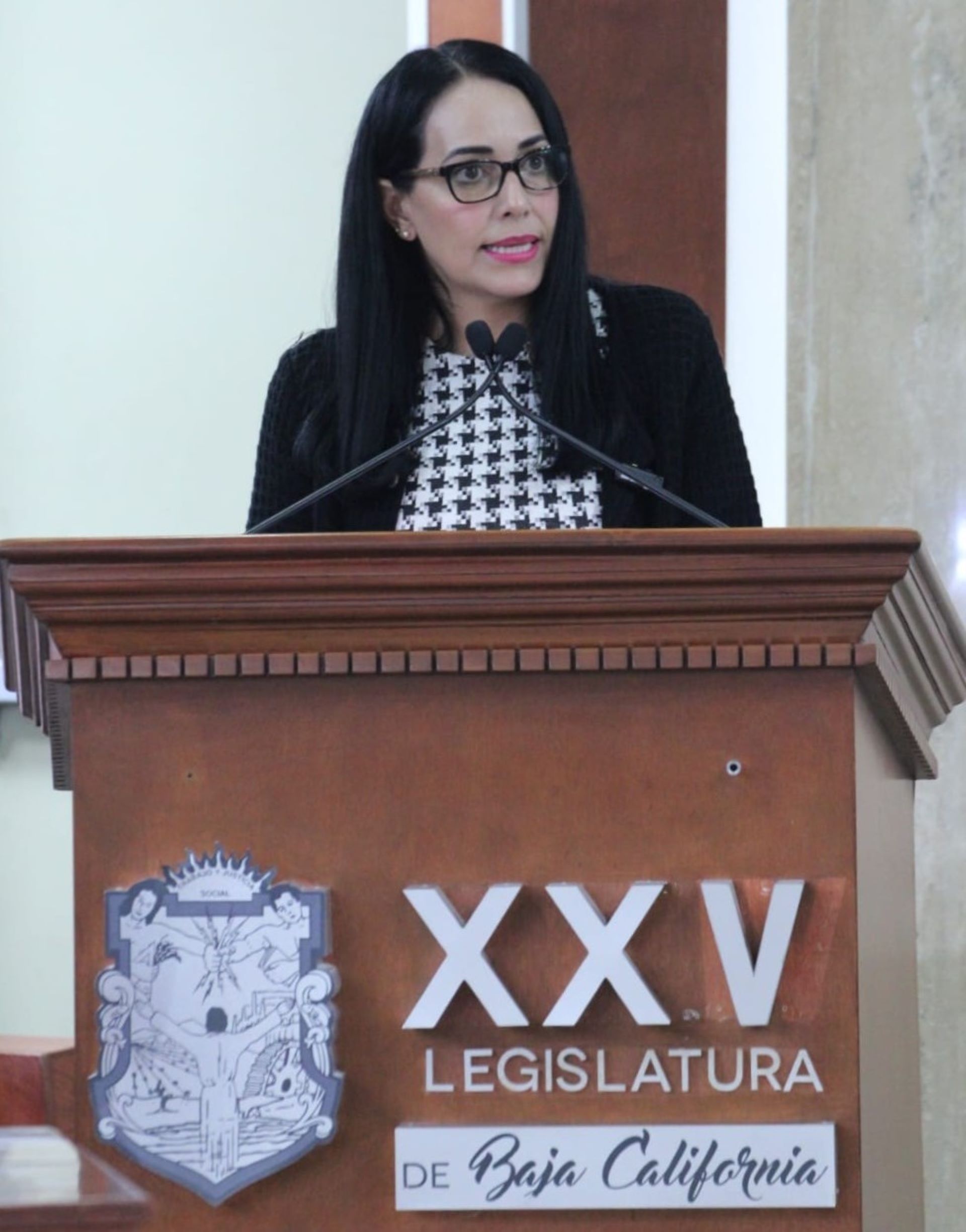 Crisis de rentabilidad del algodón empuja a productores a dejar de sembrar: Dip. Mayola Gaona