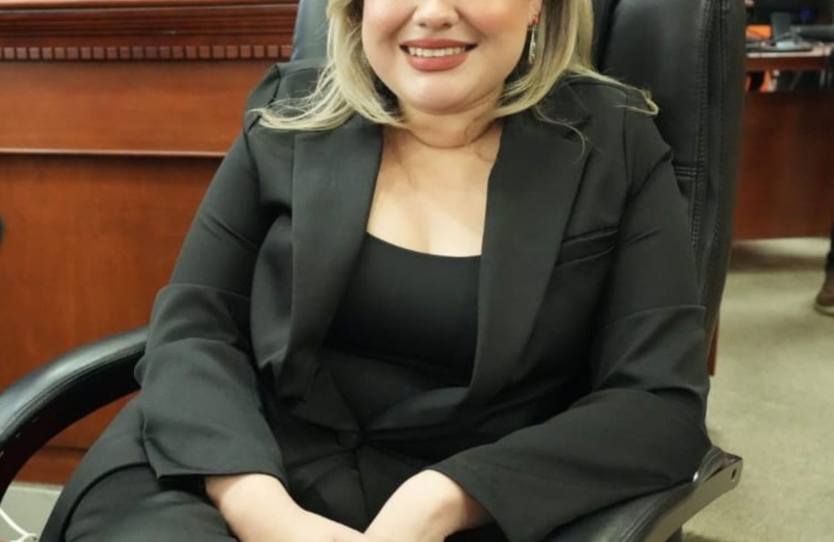 Iniciativa de la diputada Michelle Tejeda busca fomentar la denuncia y prevenir la violencia familiar