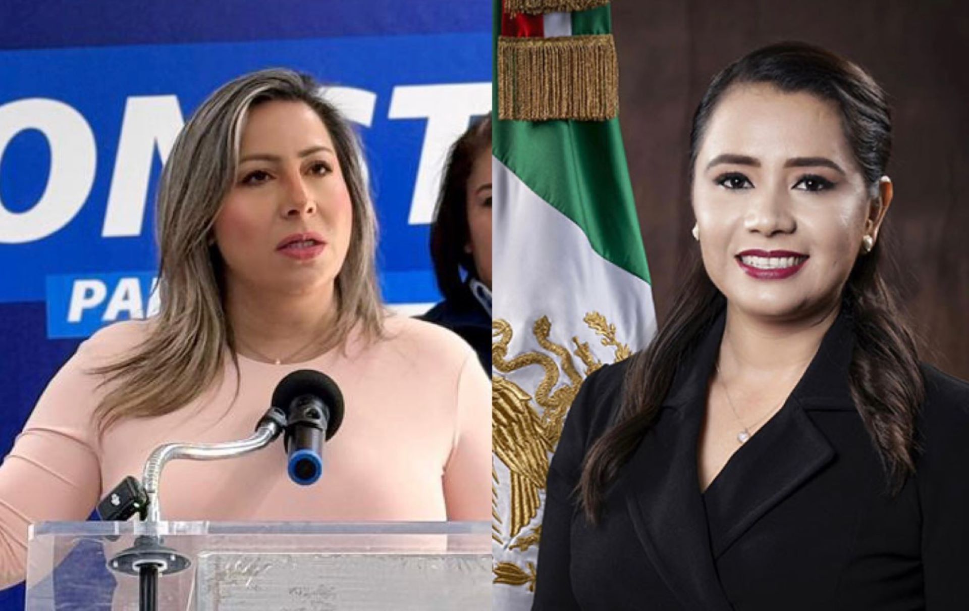 PAN exige transparencia ante la retención de la diputada de morena Alejandra Ang en Garita Internacional