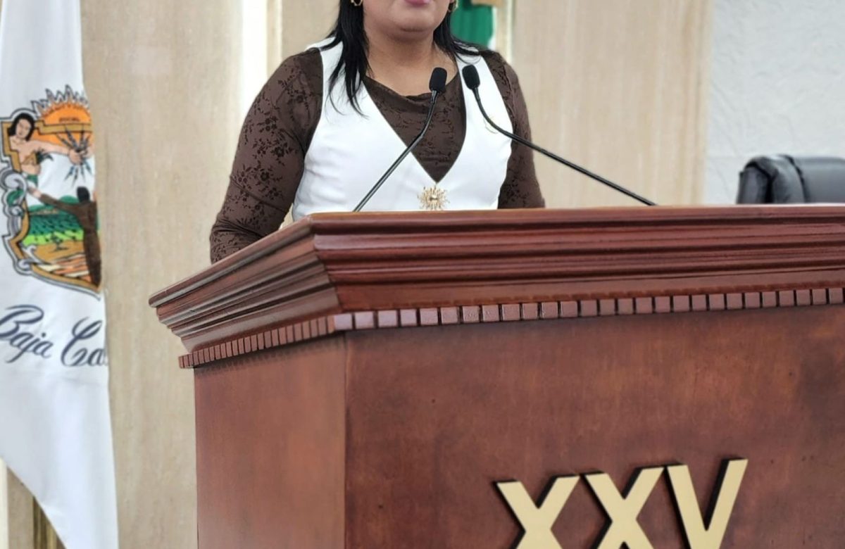 Plantean que se implemente un programa de salud mental en escuelas de educación básica