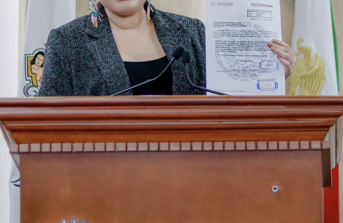 Michelle Tejeda rehabilita parque de Valle del Pedregal