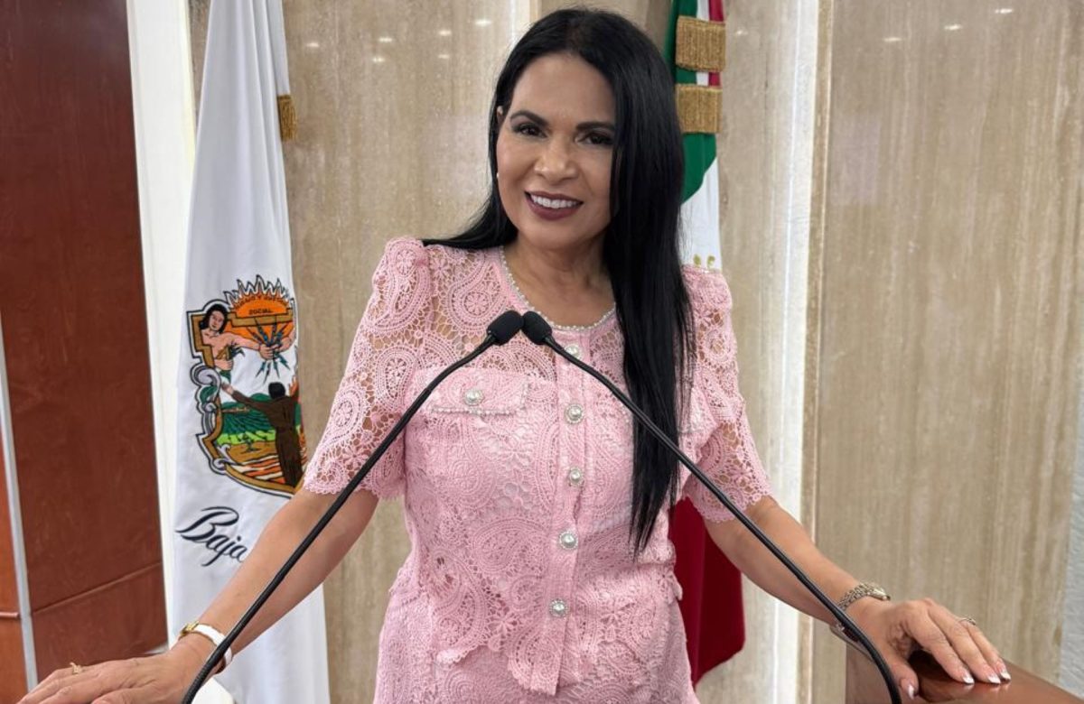 Exhorta Congreso mantener tarjeta de circulación impresa adicional a la digital en Baja California