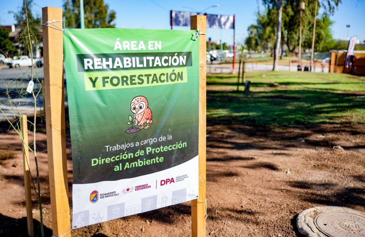 Impulsa Norma Bustamante programa de arborización en el Centro Cívico