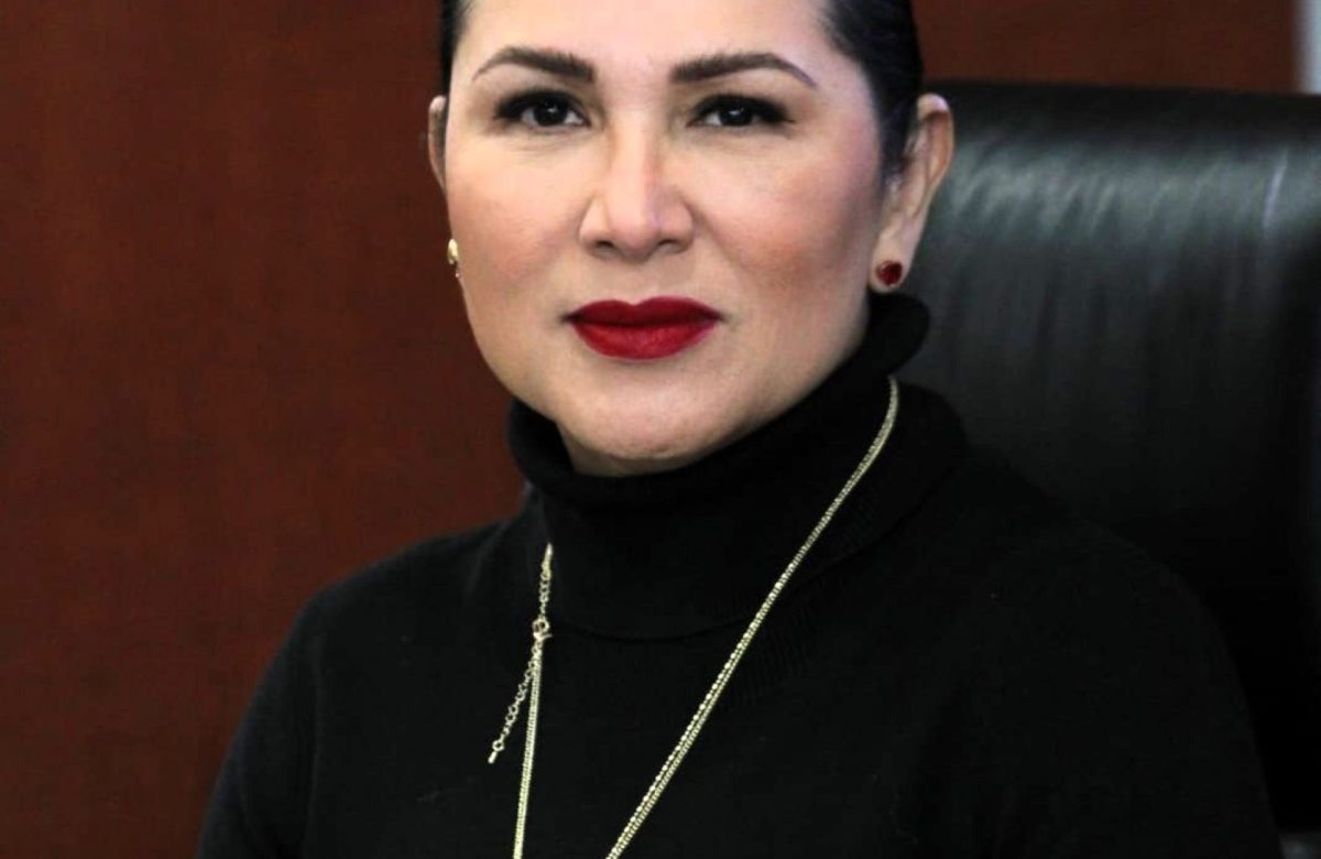 Exhorta diputada Araceli Geraldo a garantizar mayor transparencia en aplicación de multas de tránsito