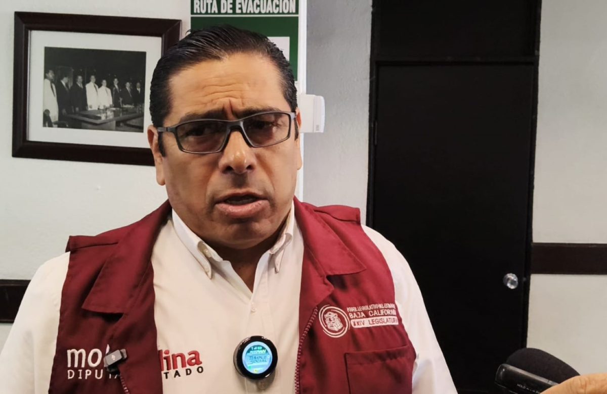 Aclara Dip. Molina García representación amplia y percepciones bajas en congreso de Baja California