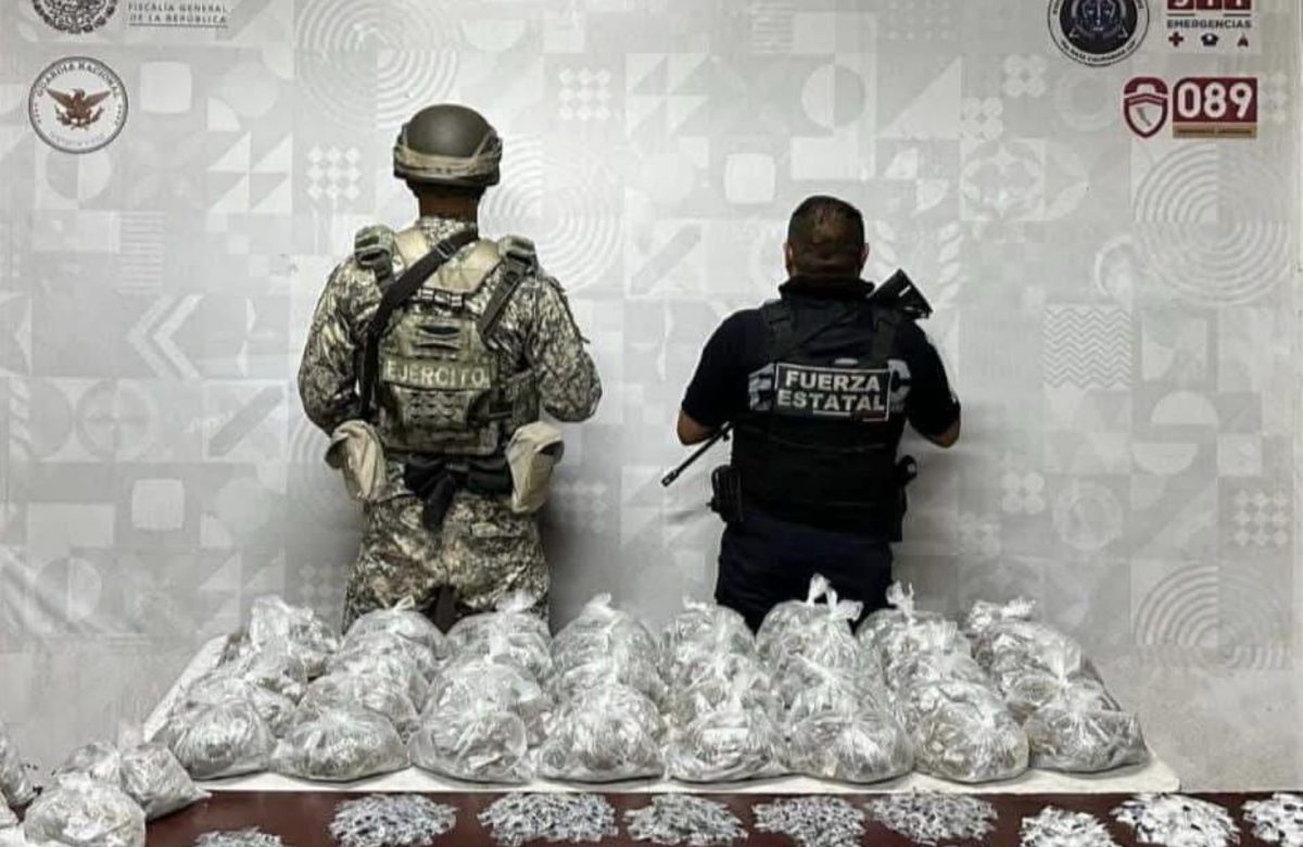 Reporta SSCBC más de 290 detenciones de narcomenudistas