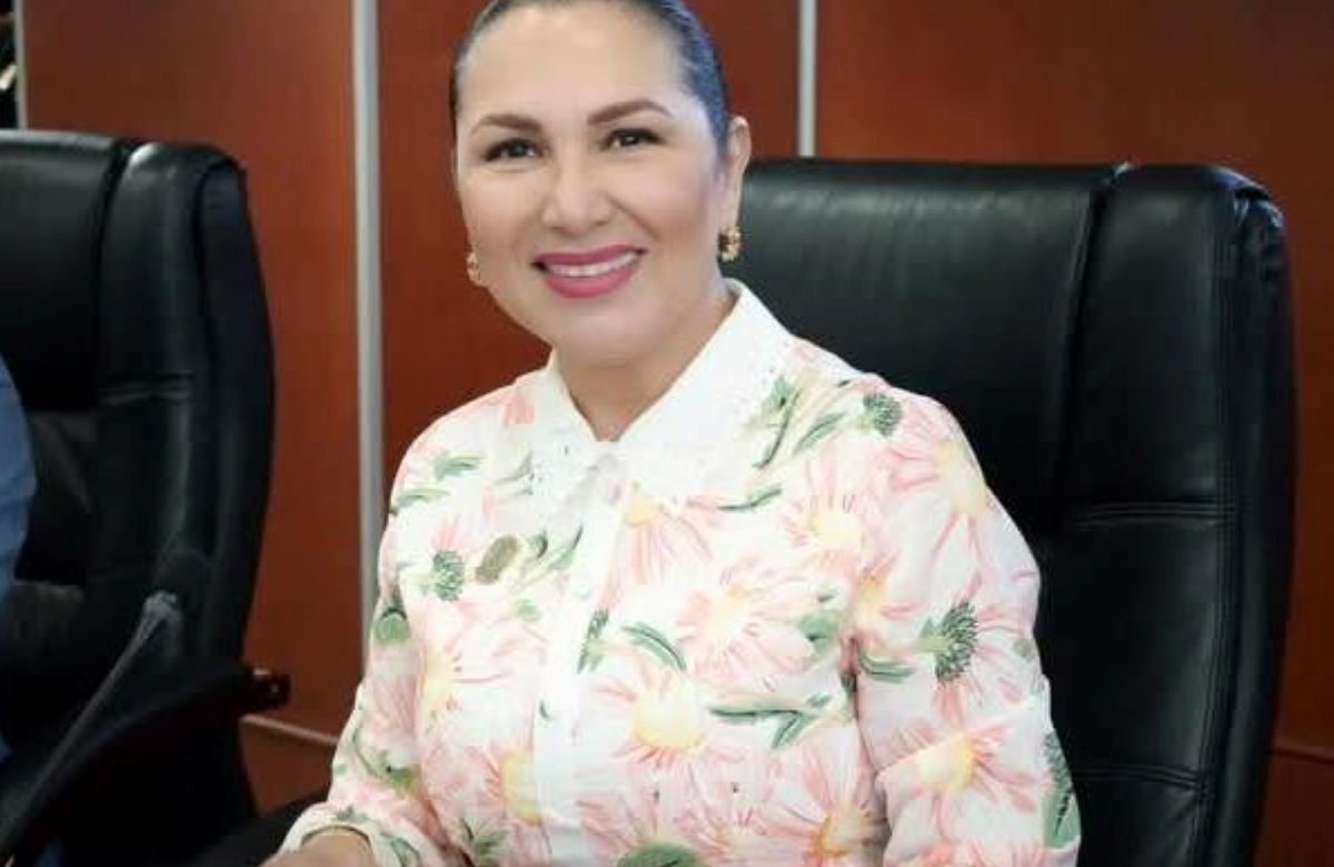 Impulsan reforma para garantizar validez de licencias y tarjetas de circulación digitales en BC