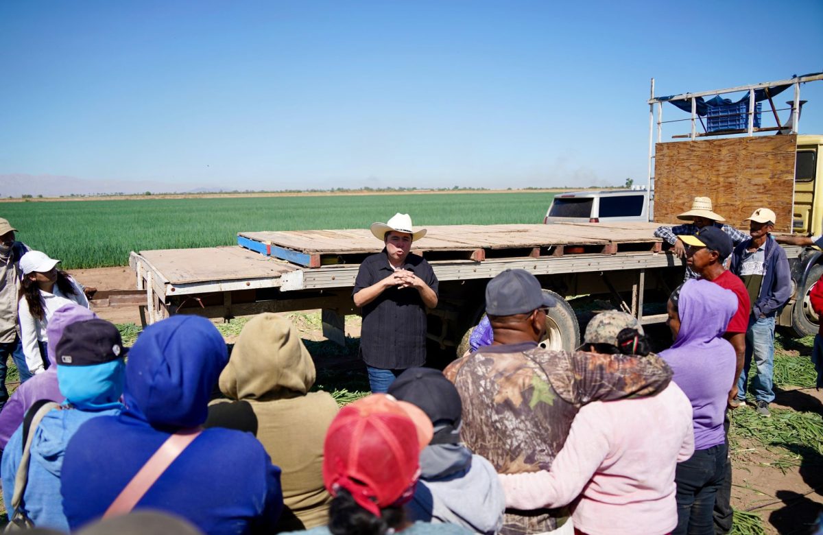 Armando Samaniego se reúne con trabajadoras y trabajadores agrícolas del Valle de Mexicali para escuchar peticiones y brindar propuestas