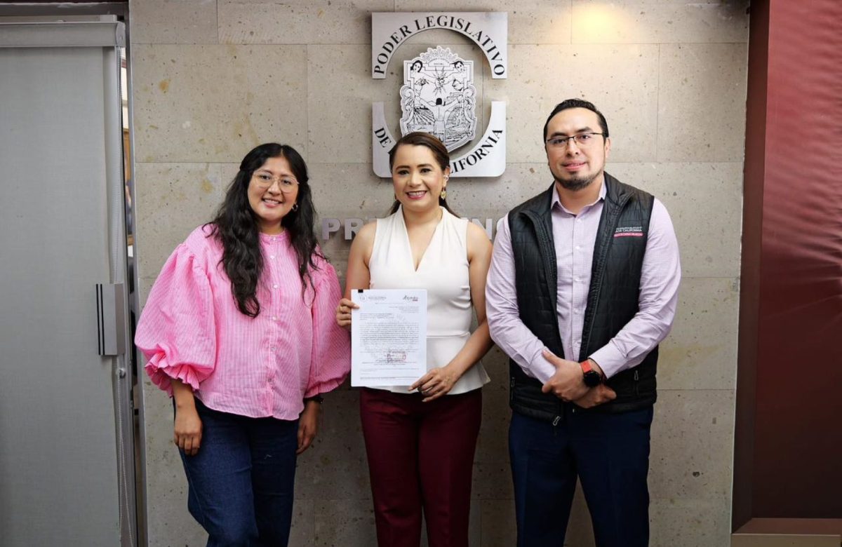 Entrega diputada Alejandra Ang informe de evaluación del desempeño a la Auditoria Superior