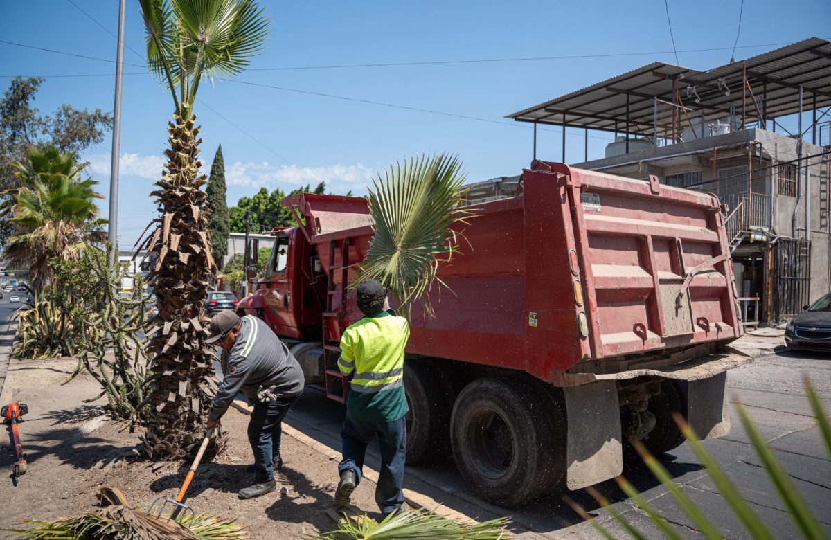 Impacta Gobierno Municipal a más de 8 mil personas con acciones del programa ‘Tijuana: Ciudad Limpia’