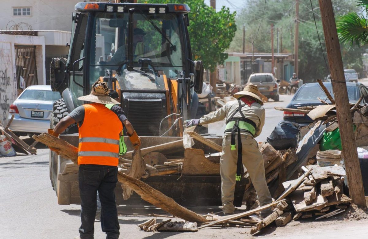 Más de 70 toneladas de basura recolectadas en colonia Carranza: Jaime Cantón