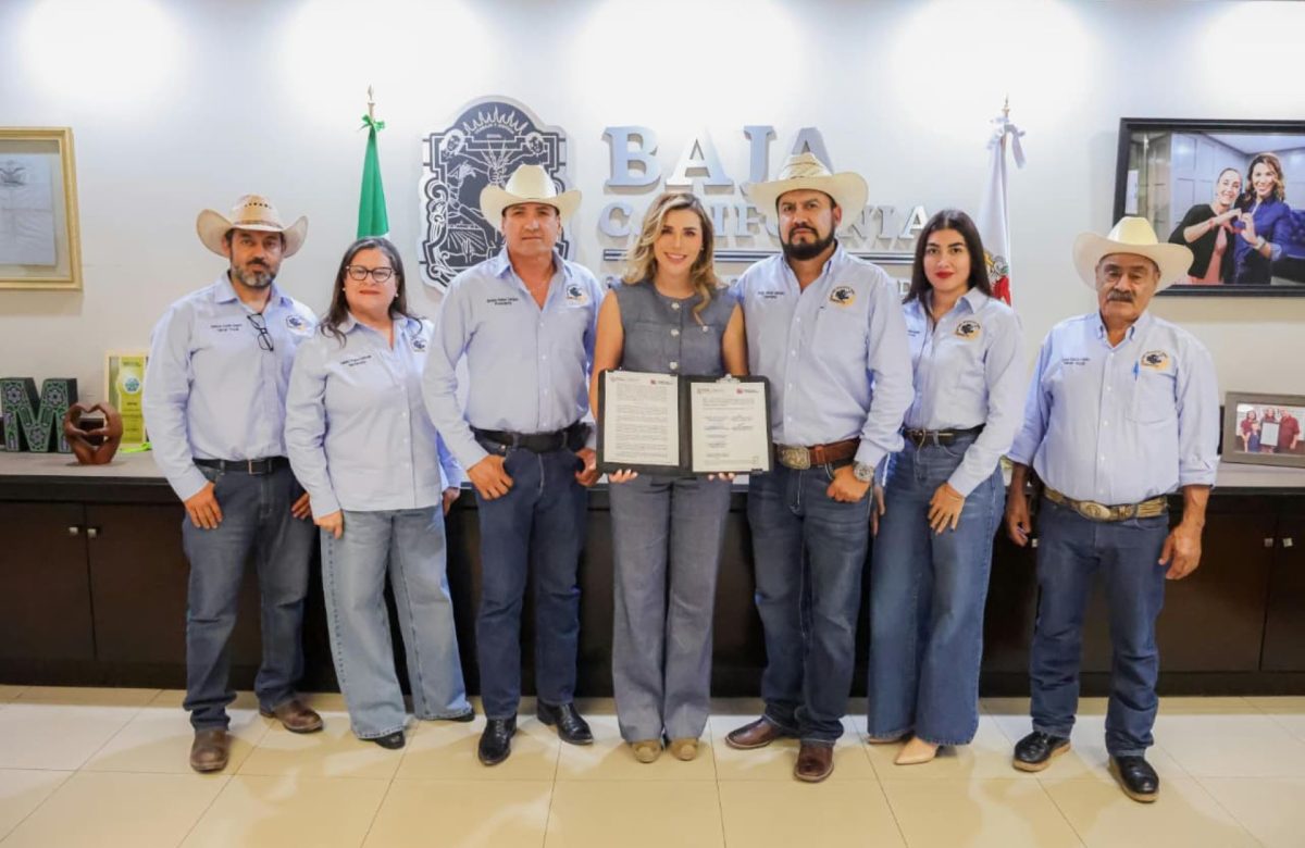 Acuerda Gobierno de Baja California apoyo a productores de trigo cristalino con mil 500 pesos por hectárea